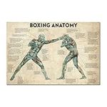 TYBBAG Vintage Boxing Anatomy Posters and Prints Boxing Lover Gift Canvas Painting Wall Art Picture Print Gym Decor-60x90cm Unframed