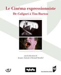 Le cinéma expressionniste: De Caligari à Tim Burton (Le Spectaculaire) (French Edition)