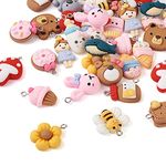 Cheriswelry 36Pcs Assorted Resin Charms Ice-Cream Donut Cookie Resin Pendants Resin Bear Bee Rabbit Flower Heart Charms 20-31mm for DIY Necklace Bracelet Earring Key Chain Crafts