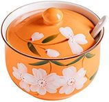 FUYU Hand-painted Flower Ceramic Condiment Pot Seasoning Jar Sugar Bowl with Lid and Spoon