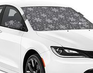 FrostGuard Plus | Winter Windshield