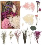 Opopark Natural Dried Flowers Press