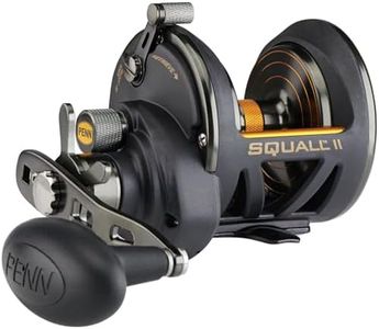 PENN Squall II Star Drag, Size 25N Fishing Reel, Right Reel Handle Position, Black Gold, SQLII25NSD