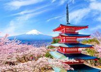 Puzzles 1000 Pieces for Adults jigsaw puzzles for adults 1000 Piece Puzzle Educational Games -Mount Fuji-Decoration Puzzle 1000 Pieces.