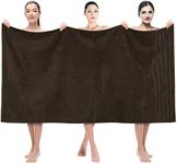 American Soft Linen 35x70 Jumbo Lar