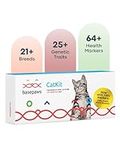 Basepaws Cat DNA Test Kit - Compreh