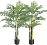 5ft Tall Triple Golden Cane Palm Artificial Tree, Large Tropical Palm Tree, PE Material & UV Resistant Fake Plant in Pot for Indoor Outdoor Home Decor Office House Living Room (Set of 2)