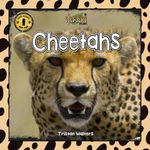 Safari Readers: Cheetahs