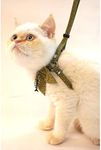 Zen Fish Charm Cat Harness & Leash Set (Green)
