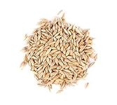 Thunder Acres Barley Seed - Certifi