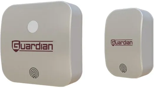 Guardian V