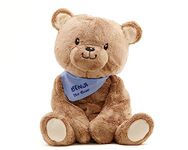 Lilly's Love Benji The Bear 5lb Weighted Stuffed Animal | Sensory Companion for Kids and Adults | Machine Washable w/Removable Inner | Makes a Great Gift for Any Occasion