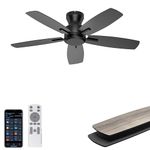 Ohniyou 42'' Ceiling Fan without Lights, Low Profile Ceiling Fan No Lights, Smart Remote/APP Control, Modern Flush Mount Outdoor Fans for Bedroom Living Room, Quiet DC Motor, Black