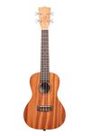 Kala Satin Mahogany Concert Ukulele (KA-15C)