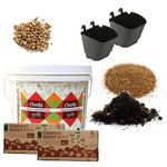 Stonesoup Compost and Grow Kit