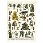 Cavallini Decorative Wrap Poster, Arboretum, 20 x 28 inch Italian Archival Paper (WRAP/TREE)