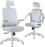 GABRYLLY Ergonomic Office Chair, High Back Home Desk Chair with Flip-Up Arms, 3D Headrest, Thick Sponge Seat &90-120° Recline, Big and Tall Mesh Executive Chairs for Man Woman, Glacier Flow