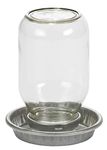 MILLER 957782 Little Giant Mason Jar Baby Chick Waterer Clear 1 quart