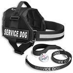 Industrial Puppy Service Dog Vest with Hook and Loop Straps & Matching Service Dog Leash Set - Harnesses from XXS to XXL - Service Dog Harness Features Reflective Patch and Comfortable Mesh Design