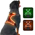 Light Up Dog Harness,LED Dog Harness No Pull with Soft Handle Rechargeable, Lighted Dog Harness for Small Dogs(Reflective,Adjustable,Lightweight,Rainproof)