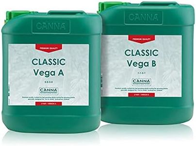 Canna Vega