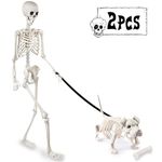 DIYDEC Halloween Posable Skeleton, 165cm/5.4ft Realistic Halloween Human Skeleton Full Body Movable Joints Skeleton with Dog Skeleton for Halloween Spooky Props Party Decoration