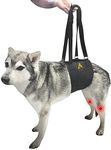 AGON Canine Dog Sling Carrier Support Back Legs Hip Knee Hock Joint Harness to Help Lift Dogs Rear Aid and Old K9 Cruciate (Small, Black)