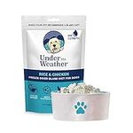 Under the Weather Easy to Digest Bland Dog Food Diet for Sick Dogs - Contains Electrolytes - Gluten Free, All Natural, Freeze Dried 100% Human Grade Meats - Rice & Chicken