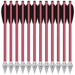 HUNTSPM 6.3" Pistol Crossbow Bolts, Aluminium Crossbow Arrows,Mini Crossbow Bolts with Broadhead Tips for 50-80lbs Pistol Crossbow Precision Target Practicing Shooting and Small Hunting (12pcs red)