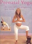 Prenatal Yoga for Conception, Pregn