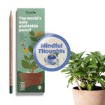 Sprout Wood-Cased Pencils | Mindful Thoughts Edition | #2 HB Pre-Sharpened Graphite Plantable Wooden Pencils with flower, Herb & Vegetable Seeds | With Heart-Warming Quotes | 8 Pack