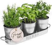 Barnyard Designs Indoor Herb Garden Planter Set with Tray, Metal Windowsill Plant Pots with Drainage for Outdoor or Indoor Plants, Set/3 (Galvanized)