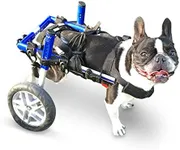 Walkin' Wheels Small Dog Wheelchair