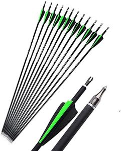 12 Pcs 30 Inch Archery Carbon Arrows Spine 500 Practice Hunting Arrows Removable Field Points Fletched Plastics Vanes (Green arrow)