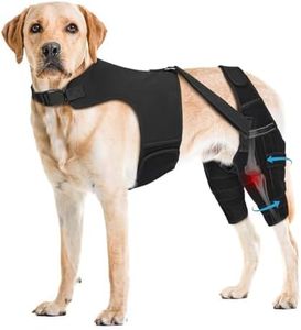 Pawfun Dog Knee Brace with Metal Stabilizers for Torn ACL Hind Leg, XXL