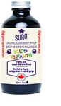 SURO organic elderberry syrup for kids, 236 Milliliter, Packaging may vary