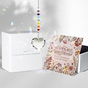 Hegelda 16th Birthday Gifts Decorations for Girls Boys, Sixteen Birthday Crystal Suncatcher, 2010 16th Birthday Decorations for Girls Boys, 16 Year Old Day Gifts for Daughter, Son, Sister, Niece