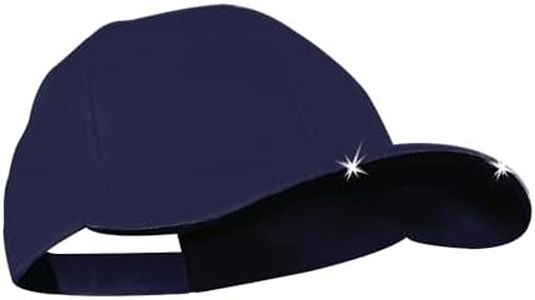 Panther Vi