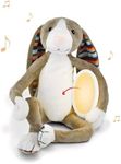 ZAZU Bo Soft Toy Nightlight with Melodies