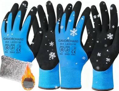 GAVOROHANS