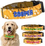 Personalized Dog Collars, Dog Collar with Name and Phone Number Adjustable Custom Dog Collar for Small, Medium, and Large Dogs. Embroidered Dog Collar, Pet Customized Name Tag -Yellow Spring