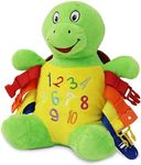 Buckle Toys - Interactive Learning Toy for Children and Travel - Bucky Turtle