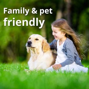 A1 Lawn Grass Seed, 5kg – Premium Quality for Lush Lawns