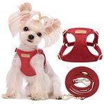 No Pull XXS Puppy Harness with Multifunction Dog Leash,Soft Adjustable No Choke Escape Proof Pet Harness Vest,red Hawthorn,XXS