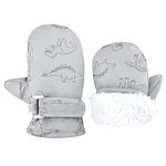 TRIWONDER Kids Ski Mittens Winter Snow Mittens Gloves Windproof Snowboarding Thermal Warm Gloves for Boys Girls (Grey, M(2-4 Years))