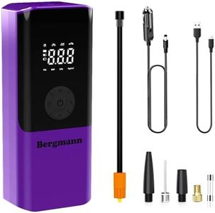 Bergmann V