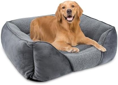 MIXJOY Dog