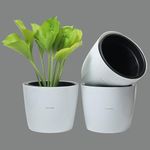 GREENON® 10 Inch Plant Pot Pack of 3 (6 Pots) Self Watering Indoor Pot | DOTT White Outer Black Inner Flower Pot | UnFadable | Suitable for Home Indoor and Balcony Plants | Low Maintenance Gamla