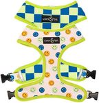 Lucy & Co. Lime Green with Blue Checker Smiley Faces, Cute Reversible Dog Harness Walking Halter - Best Designer Pet Harnesses for XS - XL Dogs - Padded Adjustable Vest for Easy Walking (Small)