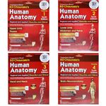 BD Chaurasia's Human Anatomy 4 Volume Combo ( Set of 4 Books Vol.- 1 to Vol.- 4 ) 10th Edition CBS Publishers & Distributors